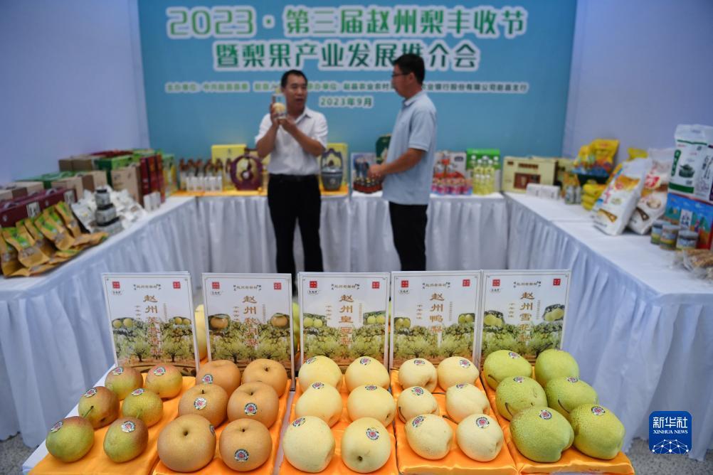双色球走势图大赢家